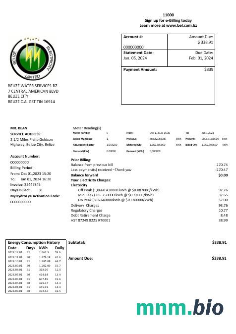 Belize Electricity Limited electricity rachunek za usługi komunalne szablon w formacie Word i PDF